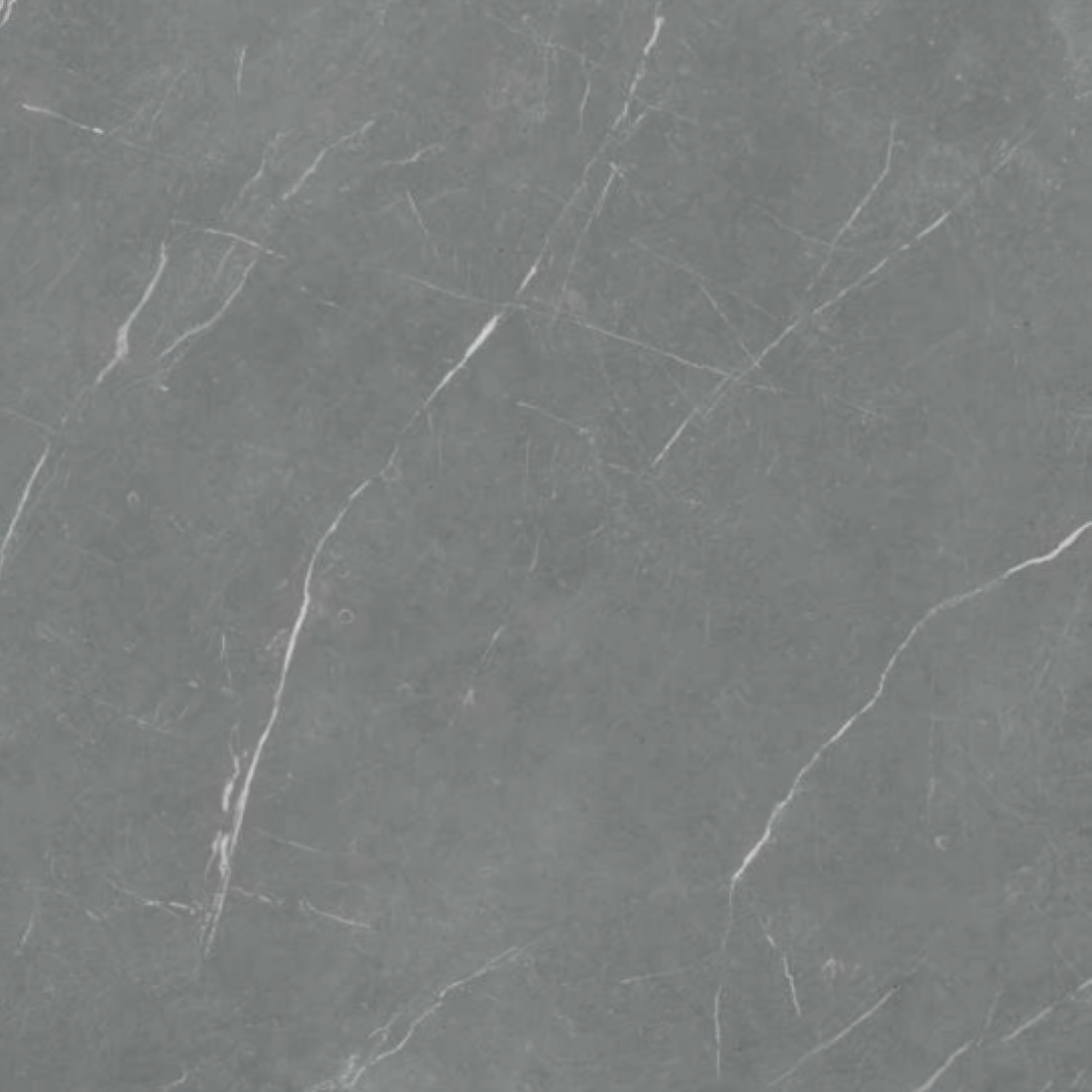 Aruna Grey