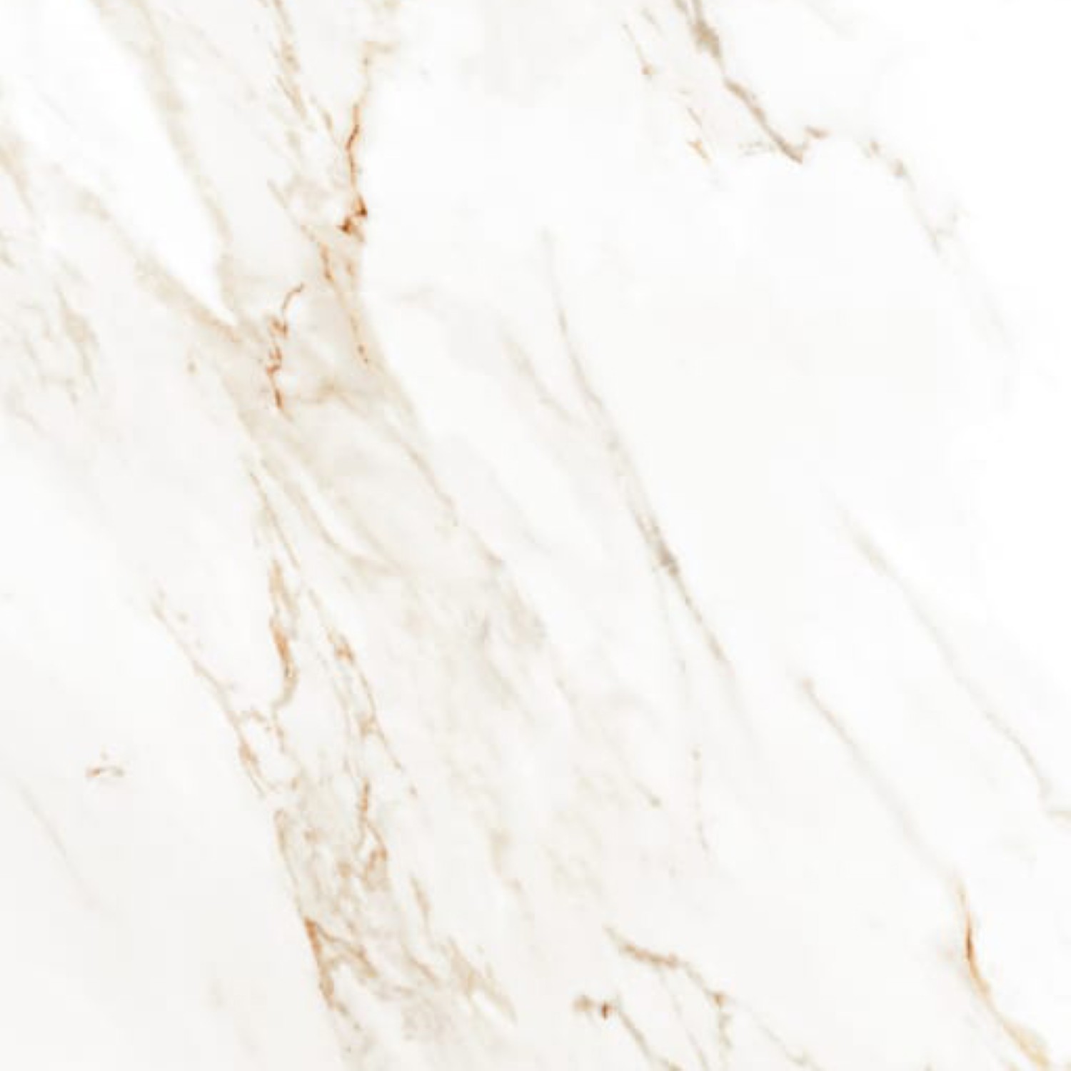 Calacatta Borghini – S