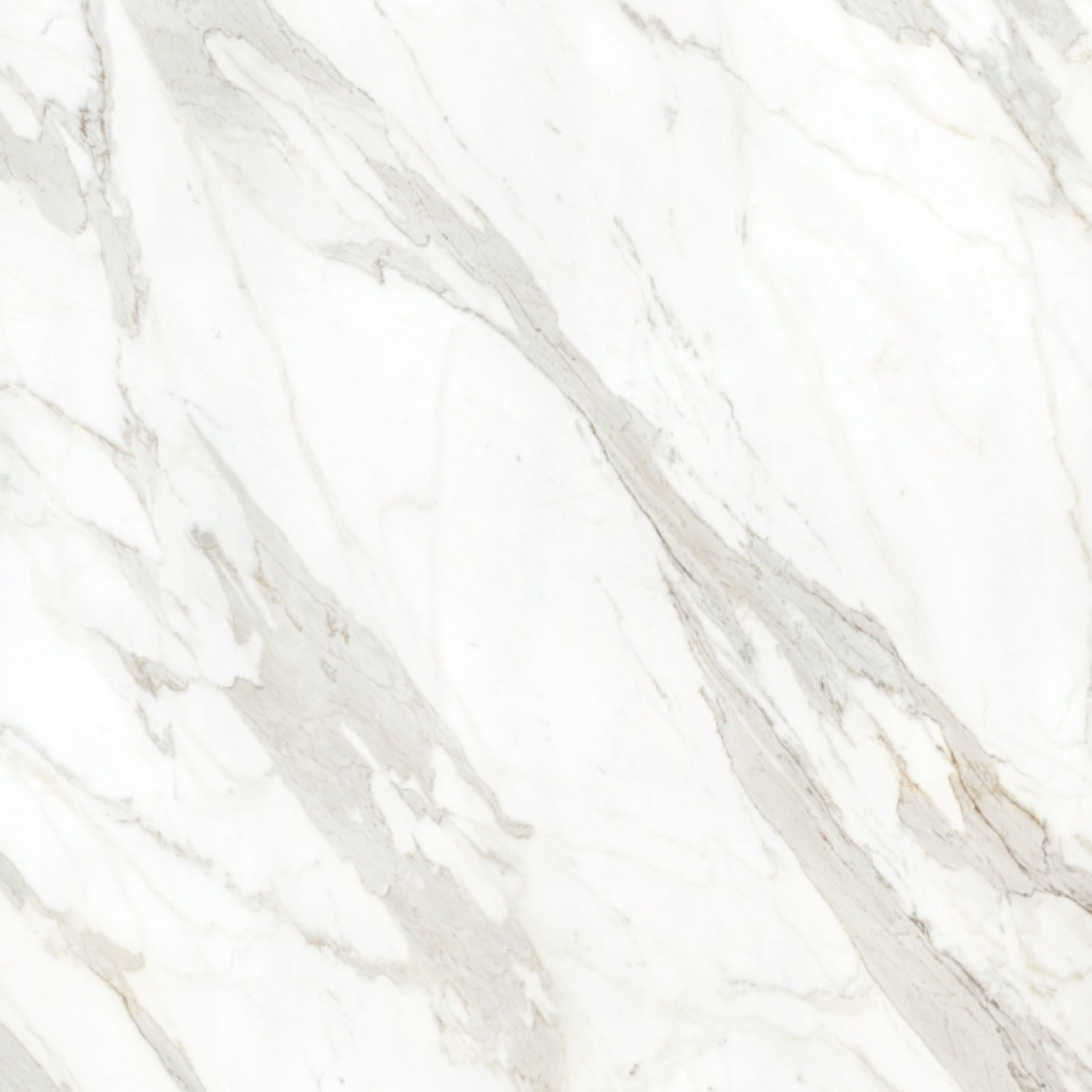 Calacatta Borghini