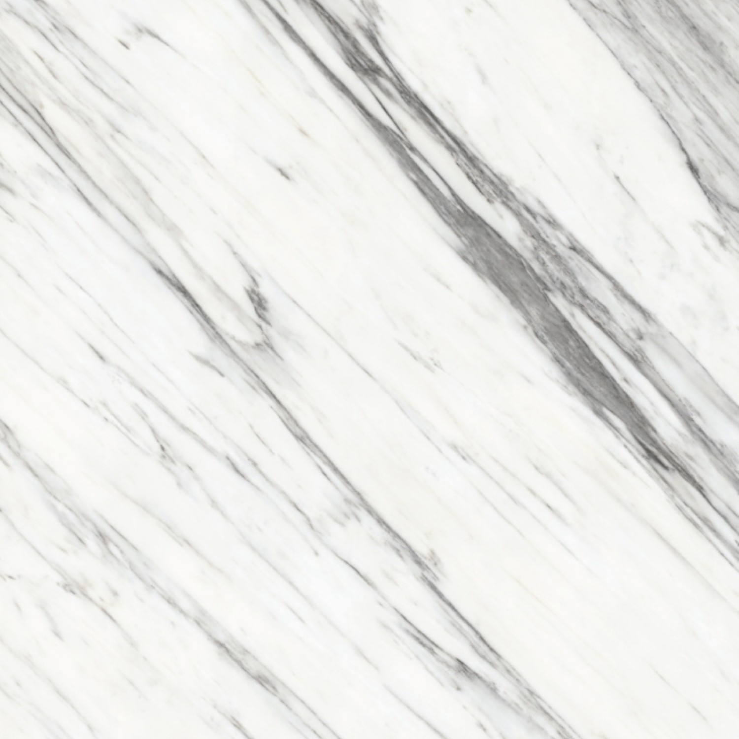 Calacatta Carrara