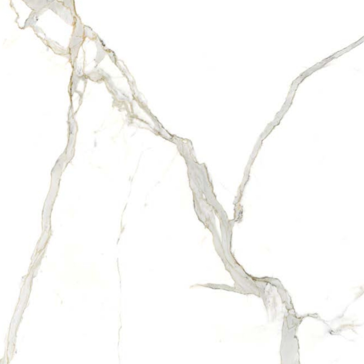 Calacatta Michelangelo – Lucidato