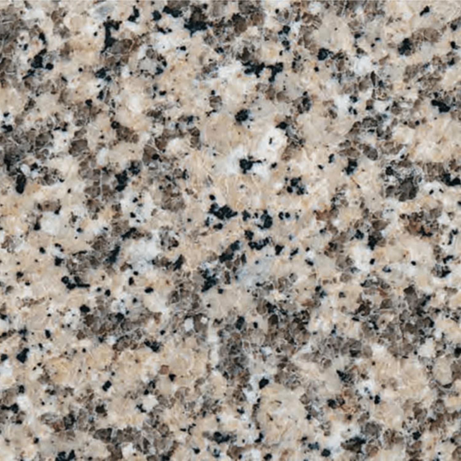 Crema Perla