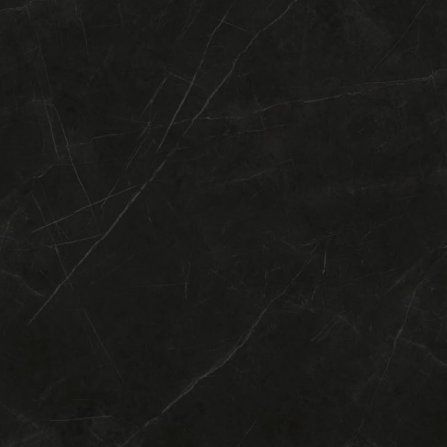 Noir Blanc