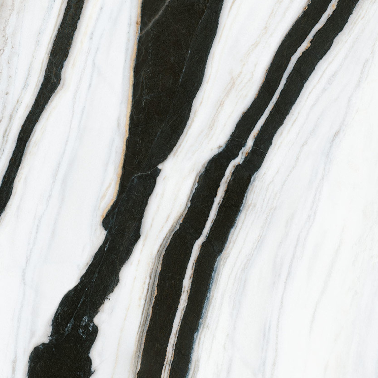 Panda White