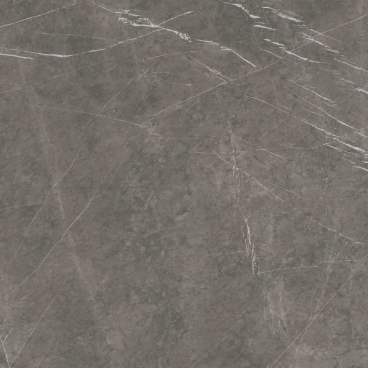 Pietra Grey – NG