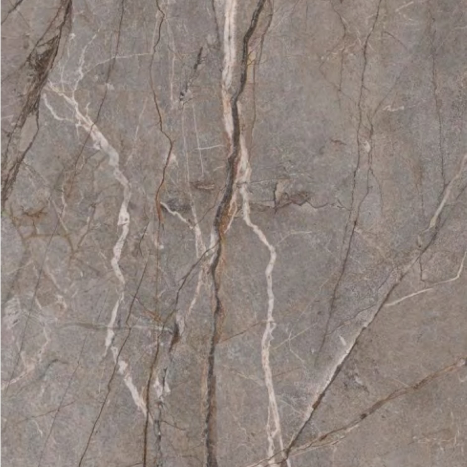 Silver Root