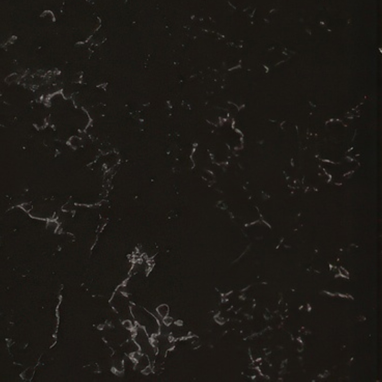 Spa Black Seta