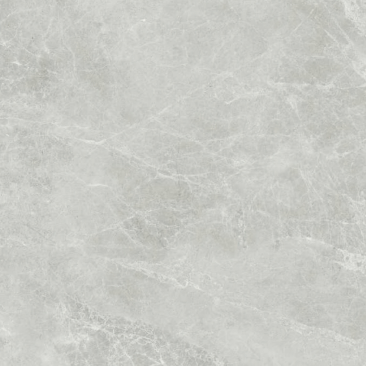 Swan Grey