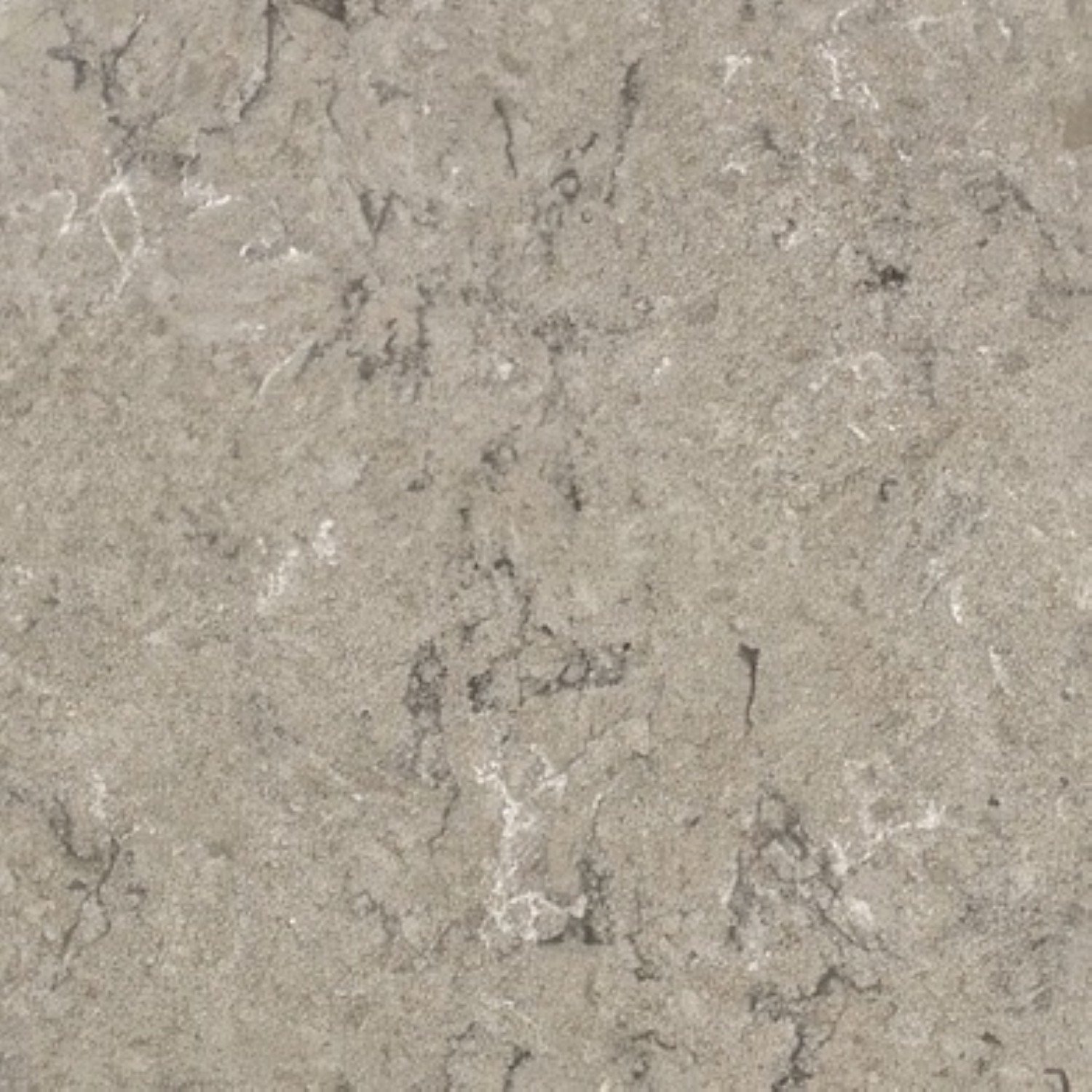 Terre Grey