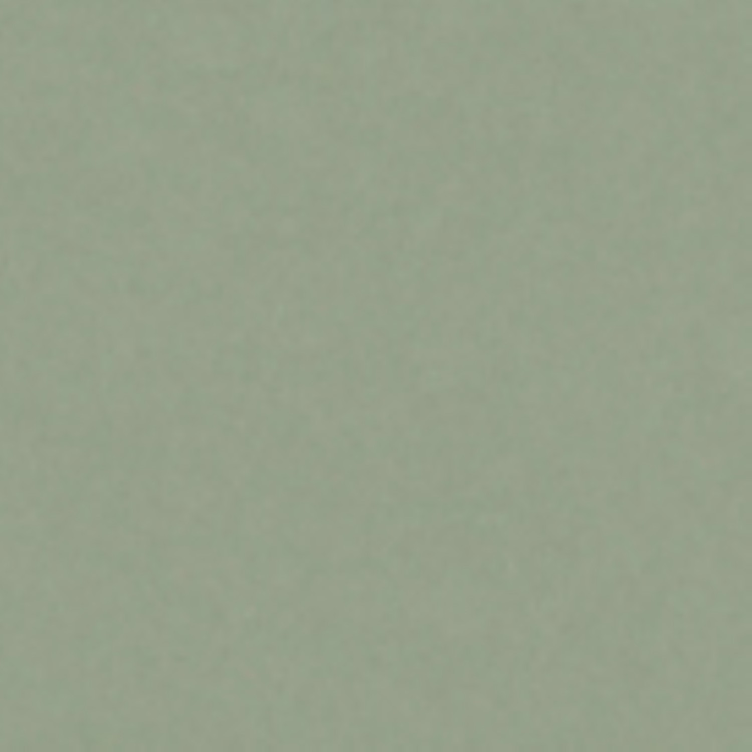 XM Posidonia Green